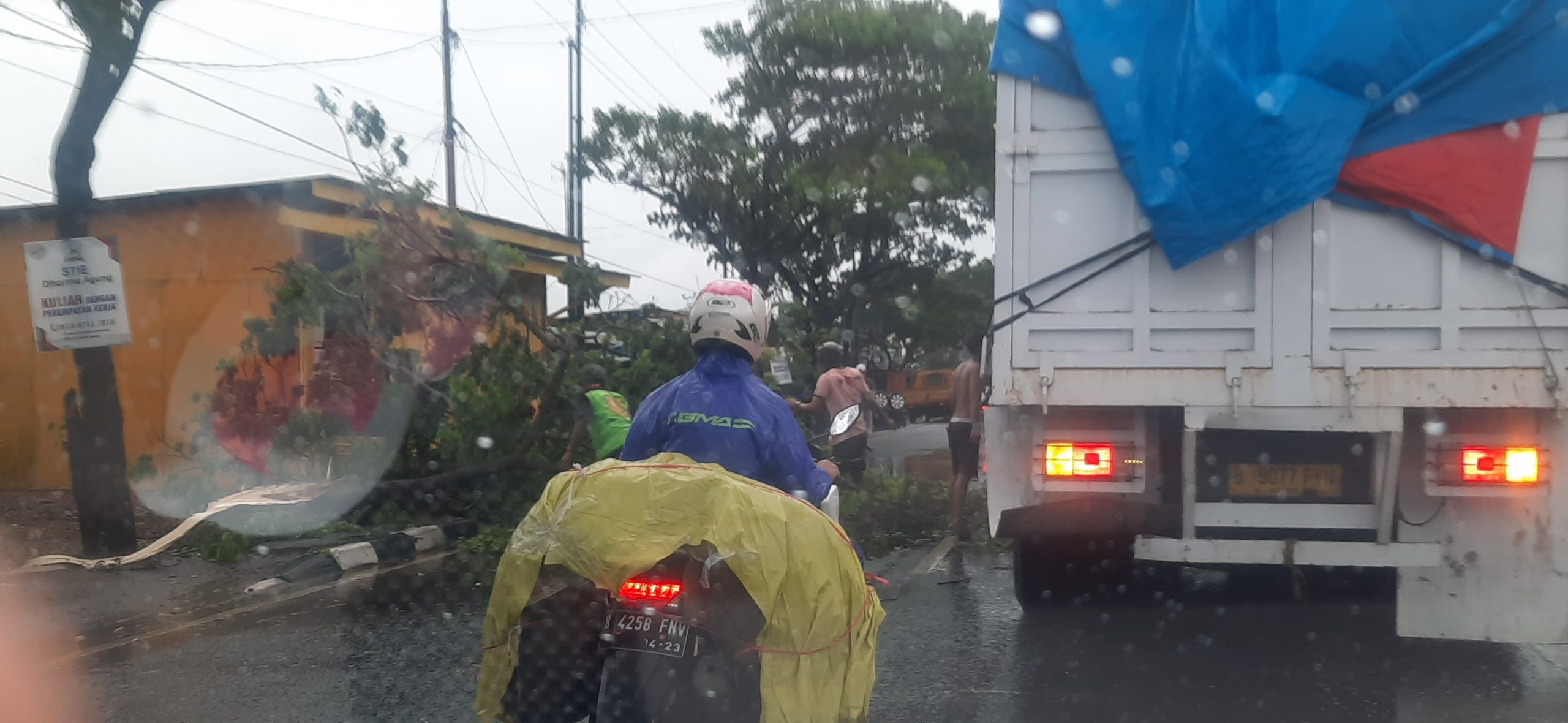 Read more about the article POHON TUMBANG DERASNYA HUJAN DI JALAN PROVINSI CIKARANG UTARA