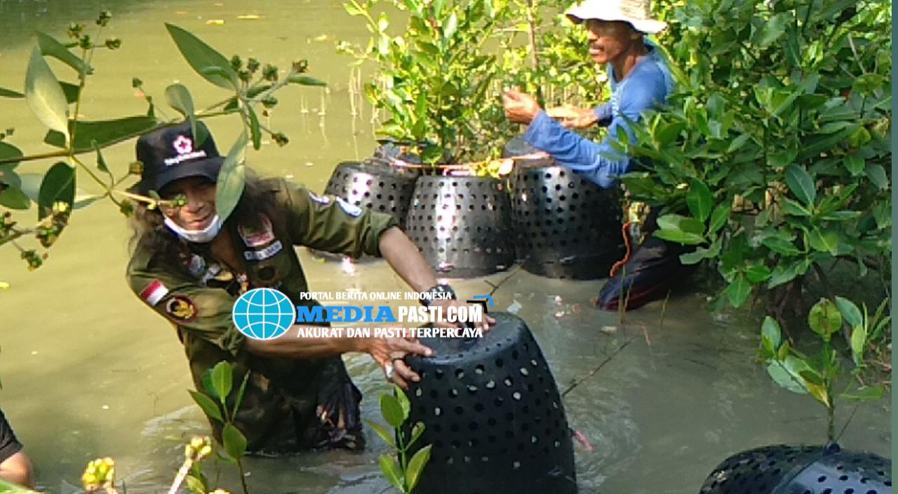Read more about the article DPD GIAN Bekasi Raya Bersama MC 3 Mangrove Lestari Nusantara Lakukan Budidaya Kepiting Bakau