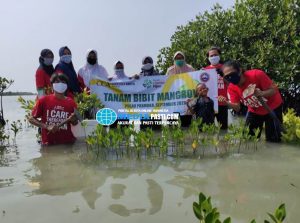 Read more about the article AMATIL INDONESIA TANAM 1,000 POHON MANGROVE