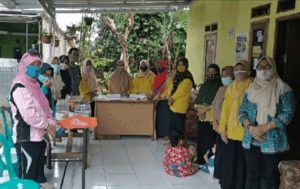 Read more about the article Kader PKK Dan Posyandu Wijaya Mustika XX Adakan Pemberian Vitamin Pada Para Balita