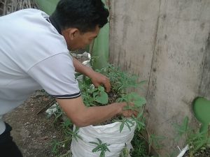 Read more about the article Warga Desa Karang Asih Kecamatan Cikarang Utara Menanam Pohon Dalam Karung
