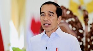 Read more about the article Jokowi Akan Cawe-Cawe Demi Bangsa dan Negara Ke Depannya