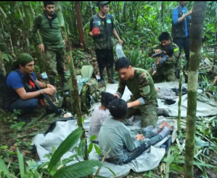 Read more about the article 4 Anak Ditemukan Selamat di Hutan Amazon Setelah 40 Hari Pesawat Jatuh