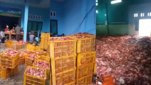 Read more about the article Warga Dusun Krajan Banjarnegara Berbondong-bondong Berkurban, Hingga Hasil Daging Mencapai 25 TON