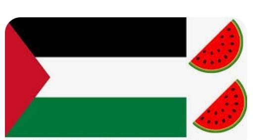 Read more about the article Simbol Buah semangka dan bendera palestina sama sama baik ucap Rizki