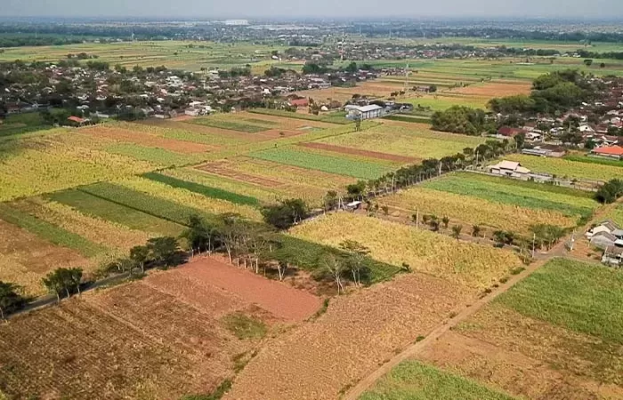 Menteri Nusron Wahid Menegaskan Tanah Warisan yang di Klaim Masyarakat itu Adalah Milik Negara