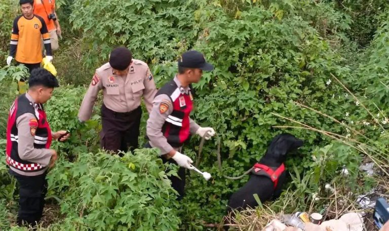 tersebar di jurang jalur Mojokerto-Batu.