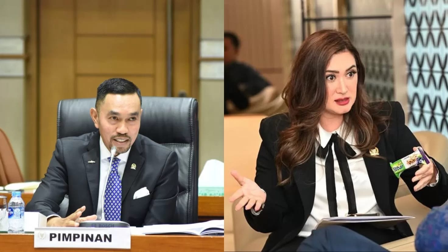 Read more about the article Nasdem Meminta untuk Menghentikan Gaji, Tunjangan dan Fasilitas Sebagai Anggota DPR untuk Ahmad Sahroni dan Nafa Urbach