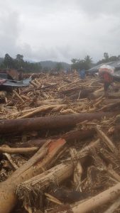 kayu gelongongan di banjir sumatera
