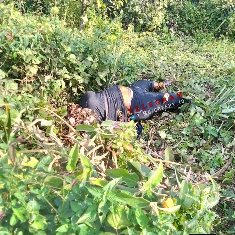 Pembunuhan Pegawai Dapur MBG oleh Rekan Kerja, Kesal Sering Diganggu