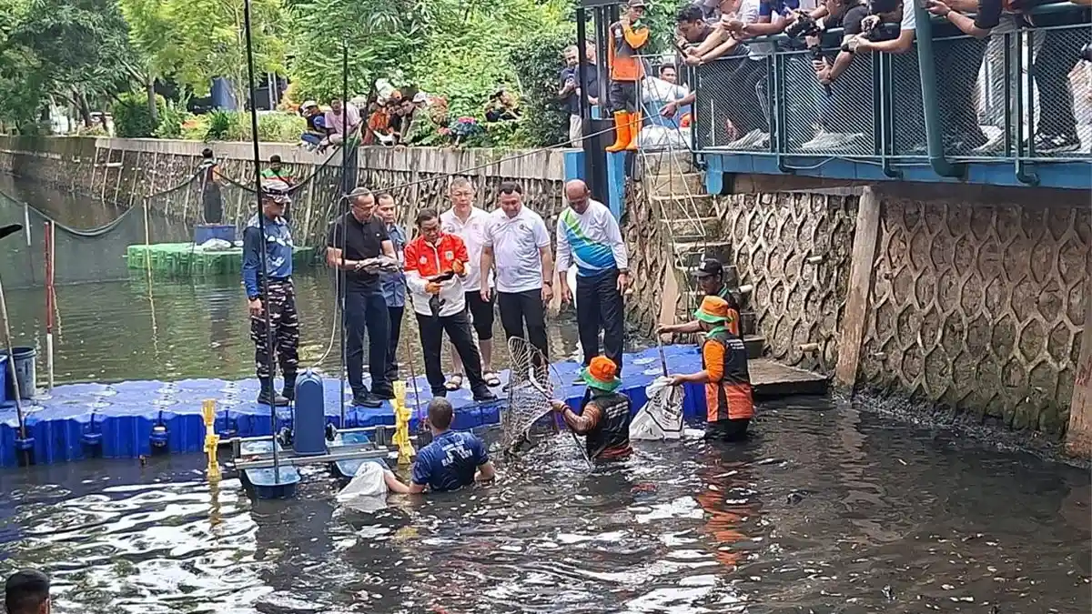 Read more about the article Pengendalian Populasi Ikan Sapu-sapu di Kali Jakarta, 7 Ton Ikan Berhasil Ditangkap dan akan dimusnahkan