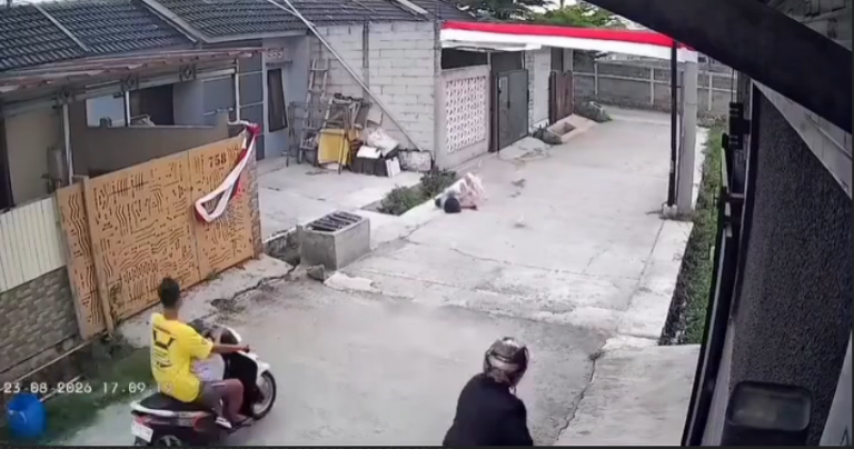 anak kecil digigit anjing