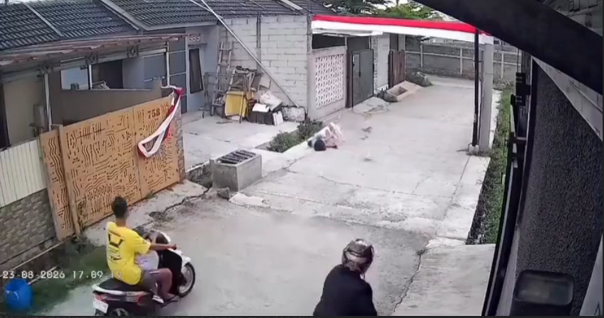 anak kecil digigit anjing